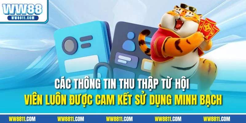 Các thông tin thu thập từ hội viên luôn được cam kết sử dụng minh bạch